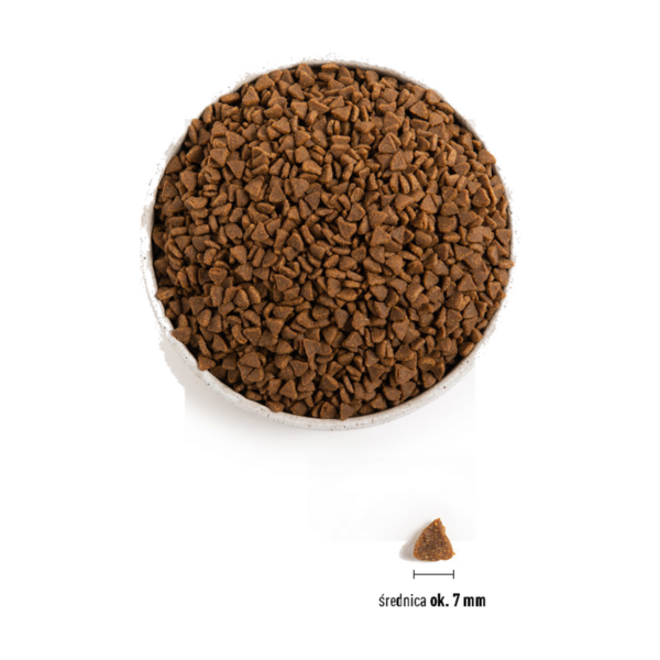 Karma Acana, First Feast, Cat, 340 g, dla kociąt — widok 4