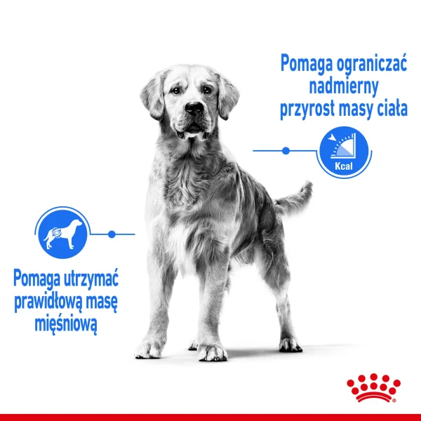 Karma sucha Royal Canin Maxi Light Weight Care dla dużych psów z nadwagą 12 kg — widok 4