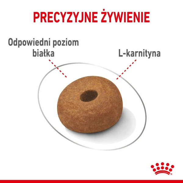 Karma sucha Royal Canin Maxi Light Weight Care dla dużych psów z nadwagą 12 kg — widok 6