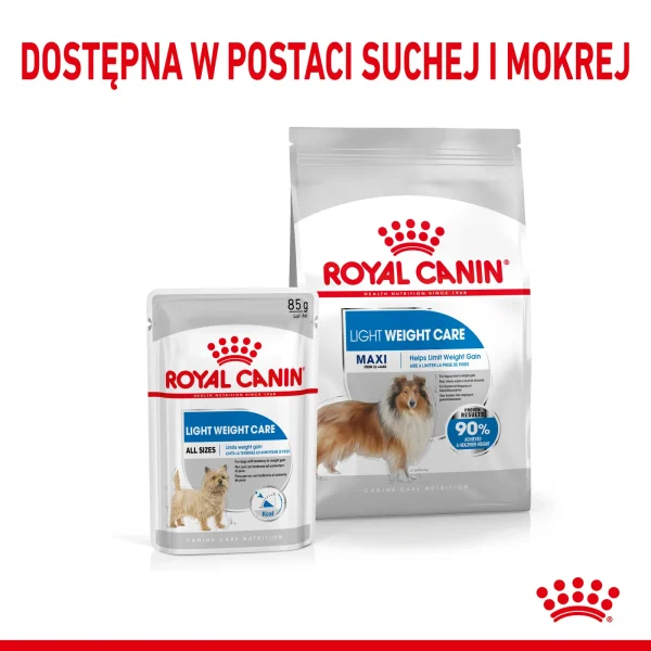 Karma sucha Royal Canin Maxi Light Weight Care dla dużych psów z nadwagą 12 kg — widok 7