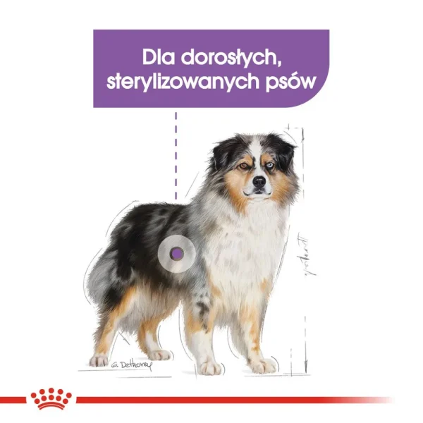 Karma sucha Royal Canin Sterilised Medium dla ras średnich 12 kg — widok 3