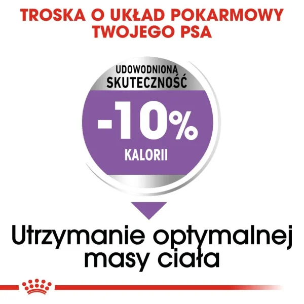 Karma sucha Royal Canin Sterilised Medium dla ras średnich 12 kg — widok 4