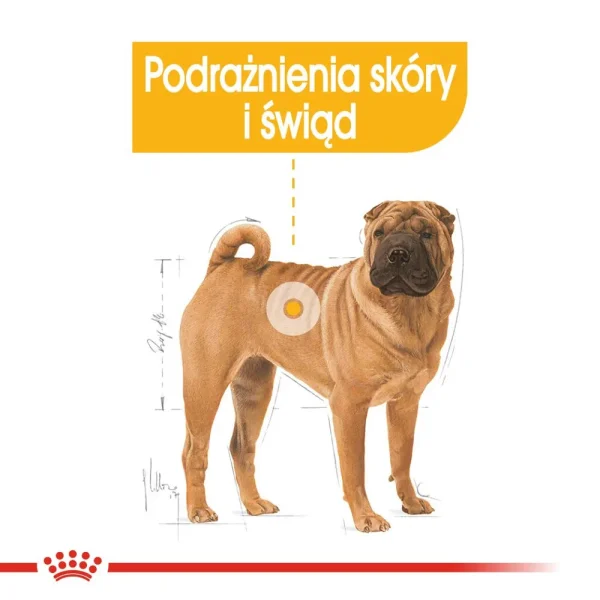 Karma sucha Royal Canin Medium Dermacomfort dla psów średnich ras 12 kg — widok 3