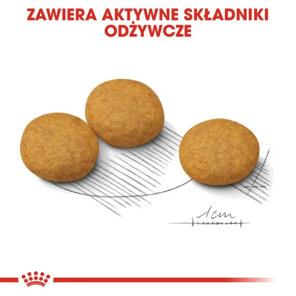 Karma sucha Royal Canin Medium Dermacomfort dla psów średnich ras 12 kg — widok 5