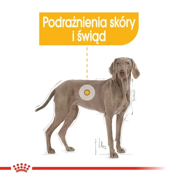Karma sucha Royal Canin Maxi Dermacomfort dla dużych ras 12 kg — widok 3