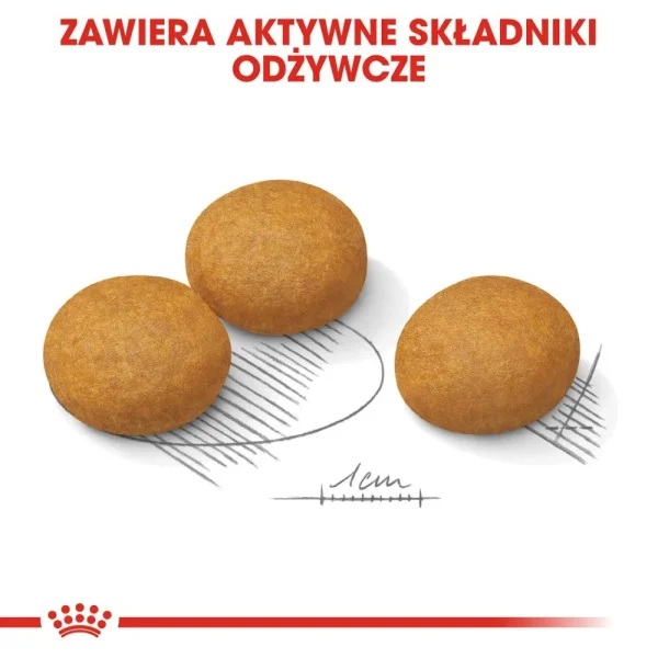 Karma sucha Royal Canin Maxi Dermacomfort dla dużych ras 12 kg — widok 5
