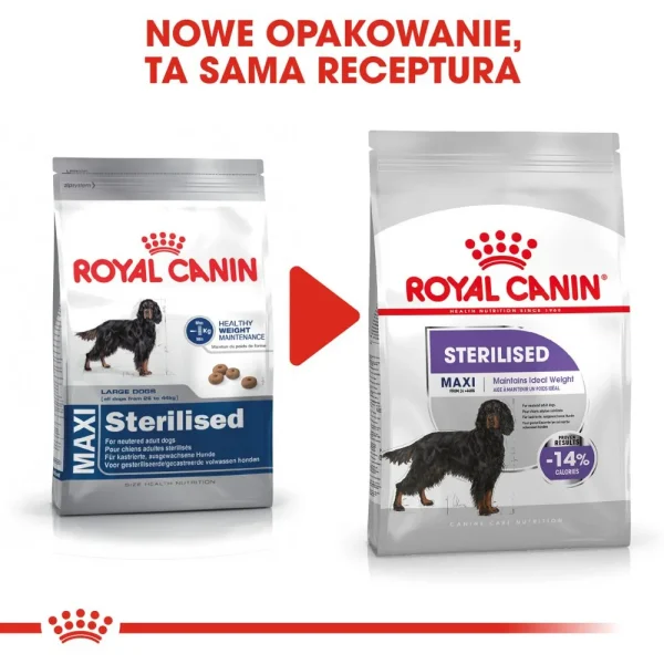 Karma sucha Royal Canin Sterilised Maxi dla dużych ras po sterylizacji 12 kg — widok 2