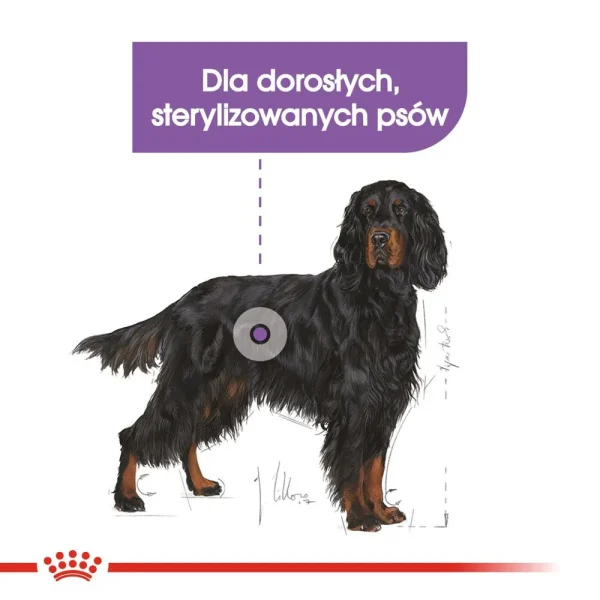 Karma sucha Royal Canin Sterilised Maxi dla dużych ras po sterylizacji 12 kg — widok 3
