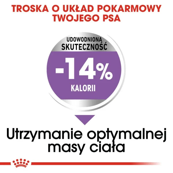 Karma sucha Royal Canin Sterilised Maxi dla dużych ras po sterylizacji 12 kg — widok 4