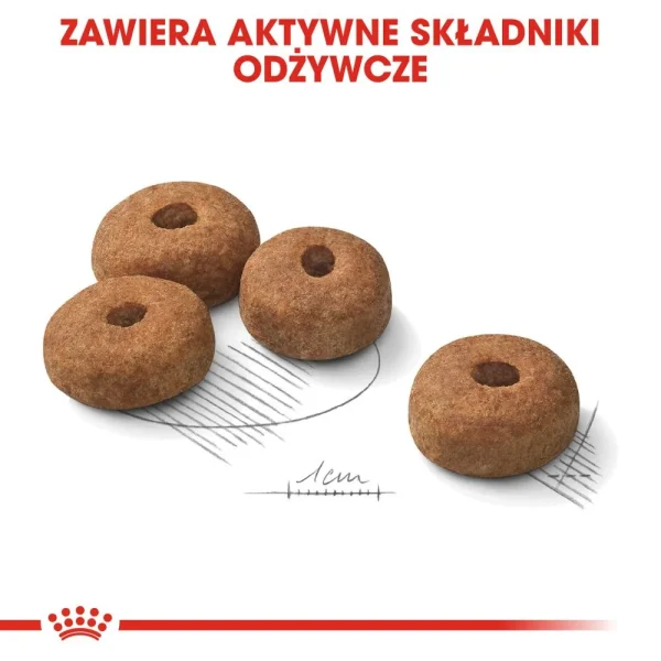Karma sucha Royal Canin Sterilised Maxi dla dużych ras po sterylizacji 12 kg — widok 5