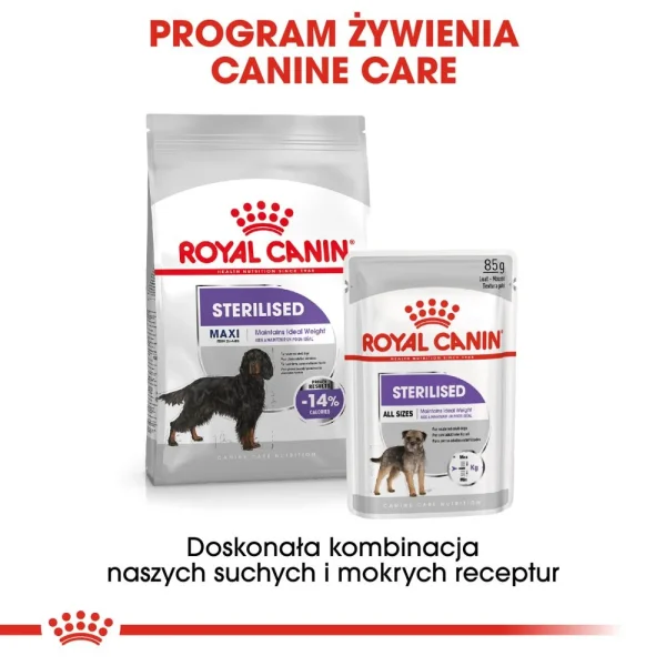 Karma sucha Royal Canin Sterilised Maxi dla dużych ras po sterylizacji 12 kg — widok 6