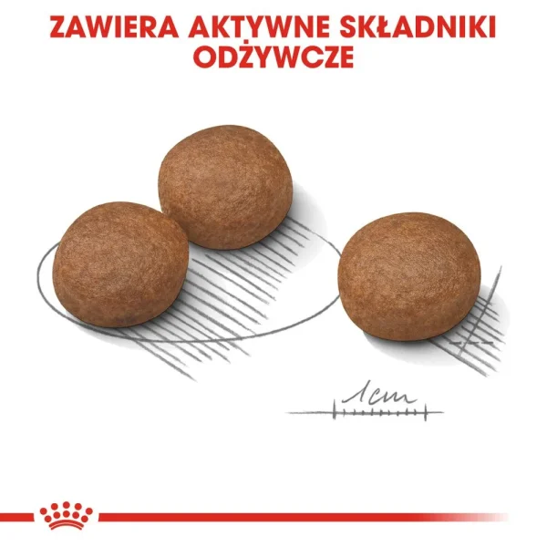 Karma sucha Royal Canin Digestive Care Medium dla psów średnich ras 12 kg — widok 6