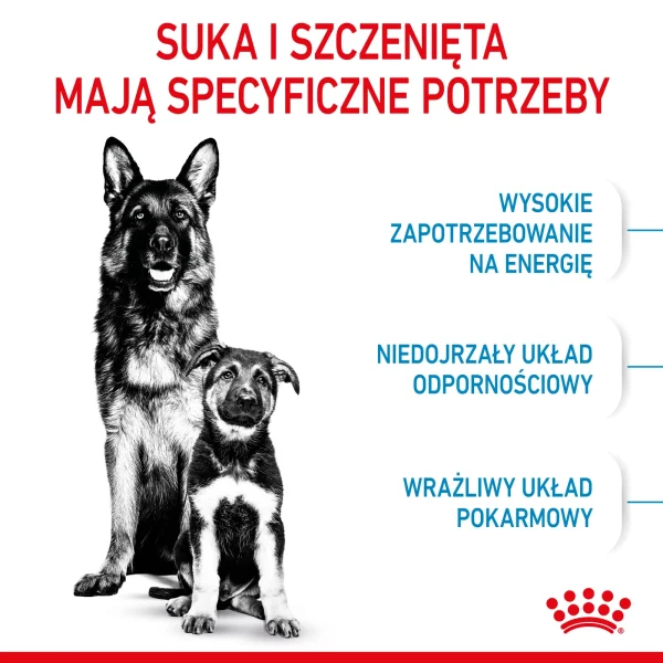 Karma sucha Royal Canin Maxi Starter Mother & Babydog dla suk i szczeniąt ras dużych 15 kg — widok 4