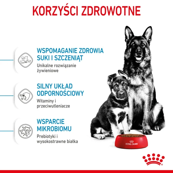 Karma sucha Royal Canin Maxi Starter Mother & Babydog dla suk i szczeniąt ras dużych 15 kg — widok 5