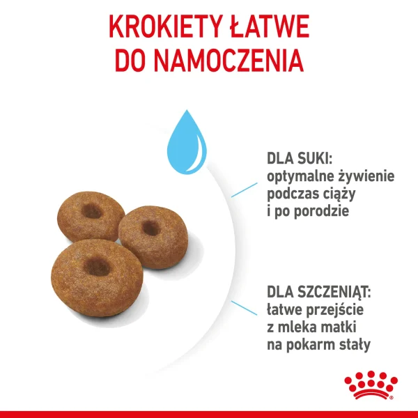Karma sucha Royal Canin Maxi Starter Mother & Babydog dla suk i szczeniąt ras dużych 15 kg — widok 6
