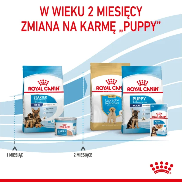 Karma sucha Royal Canin Maxi Starter Mother & Babydog dla suk i szczeniąt ras dużych 15 kg — widok 7