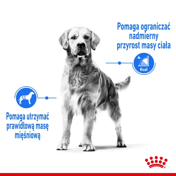 Karma sucha Royal Canin Light Weight Care Medium dla dorosłych psów średnich ras 12 kg — widok 4