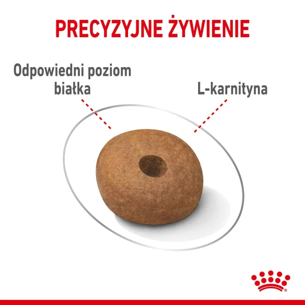 Karma sucha Royal Canin Light Weight Care Medium dla dorosłych psów średnich ras 12 kg — widok 5