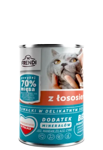 Karma mokra Frendi Kawałki w Delikatnym Sosie z Łososiem dla dorosłych kotów 400 g