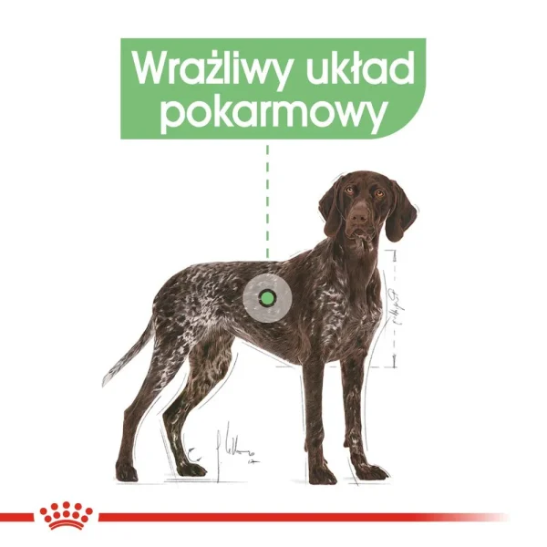 Karma sucha Royal Canin Digestive Care Maxi dla dużych ras 12 kg — widok 3