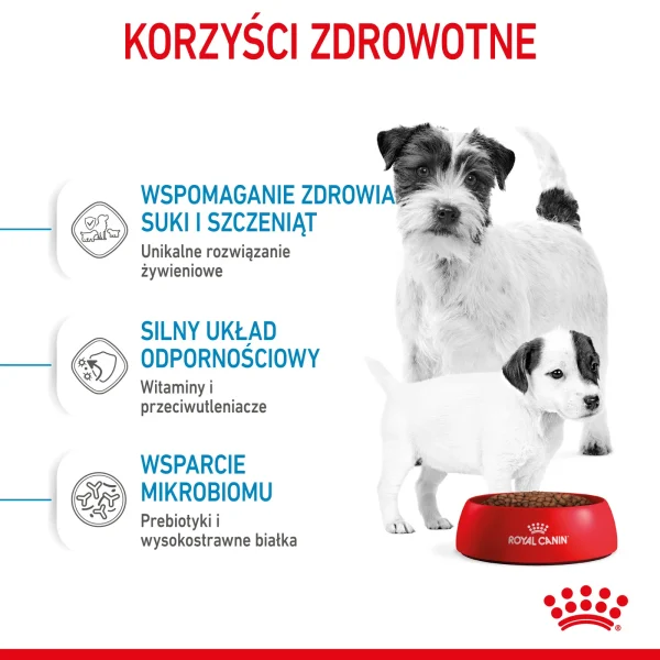 Karma sucha Royal Canin Mini Starter Mother & Babydog dla suk i szczeniąt ras — widok 6