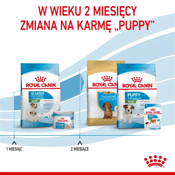 Karma sucha Royal Canin Mini Starter Mother & Babydog dla suk i szczeniąt ras — widok 8