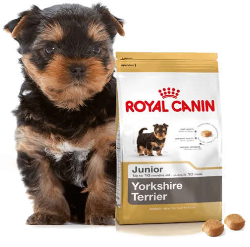 Karma sucha Royal Canin Yorkshire Terrier Puppy dla szczeniąt 500 g — widok 5