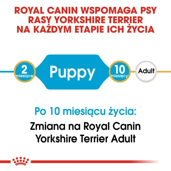 Karma sucha Royal Canin Yorkshire Terrier Puppy dla szczeniąt 500 g — widok 7