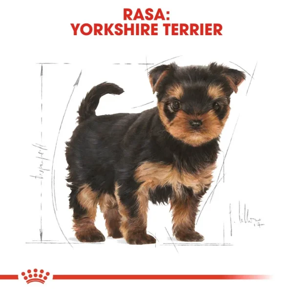 Karma sucha Royal Canin Yorkshire Terrier Puppy dla szczeniąt 500 g — widok 9