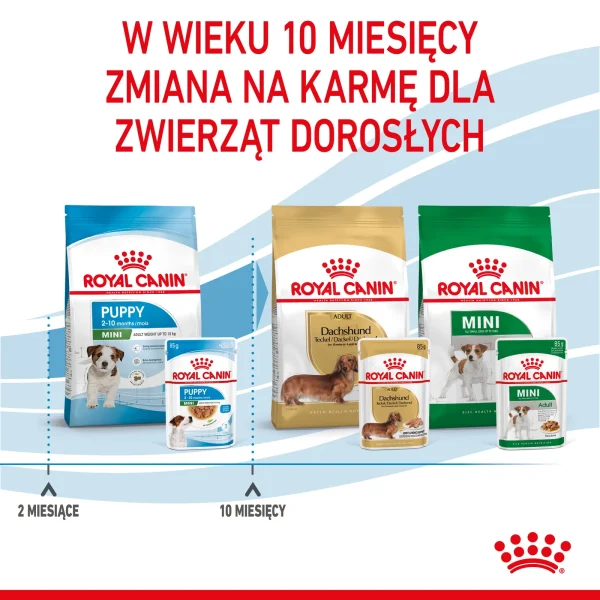 Karma mokra Royal Canin Mini Puppy dla szczeniąt małych ras 12x85 g — widok 10