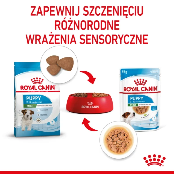 Karma mokra Royal Canin Mini Puppy dla szczeniąt małych ras 12x85 g — widok 7