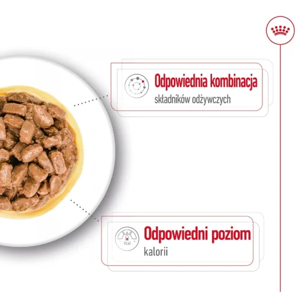 Karma mokra Royal Canin Mini Ageing 12+ dla psów małych ras powyżej 12 lat 85 g — widok 3