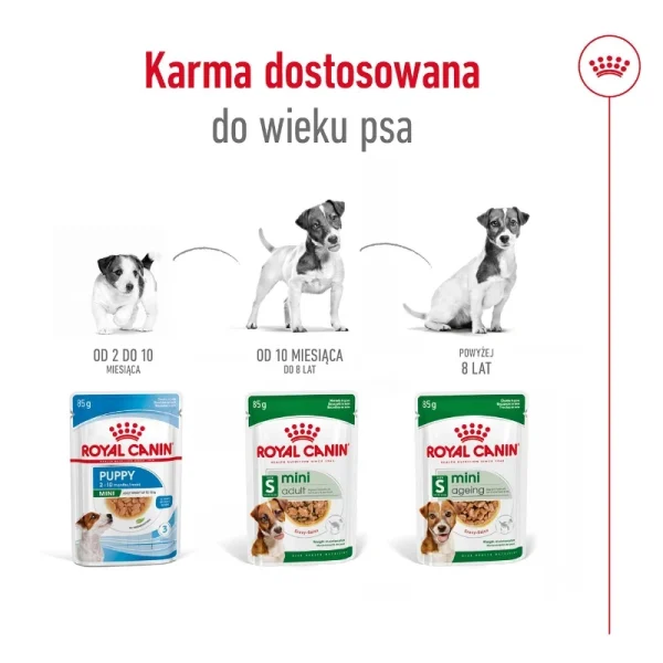 Karma mokra Royal Canin Mini Ageing 12+ dla psów małych ras powyżej 12 lat 85 g — widok 4