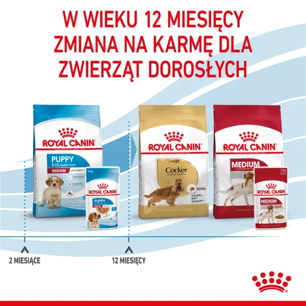 Karma mokra Royal Canin Medium Puppy dla szczeniąt ras średnich 10x140 g — widok 11