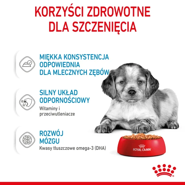 Karma mokra Royal Canin Medium Puppy dla szczeniąt ras średnich 10x140 g — widok 7