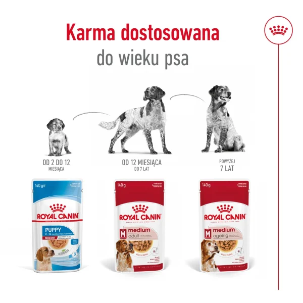 Karma mokra Royal Canin Medium Adult dla psa średniej rasy 10x140 g — widok 7