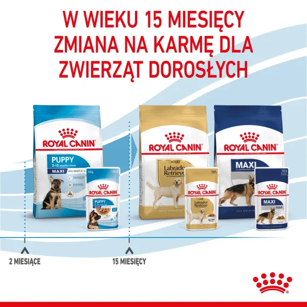 Karma mokra Royal Canin Maxi Puppy dla szczeniąt dużych ras 10x140 g — widok 11