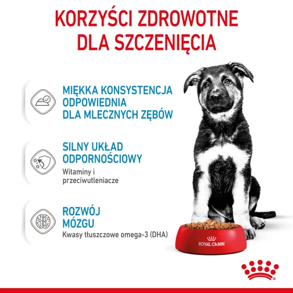 Karma mokra Royal Canin Maxi Puppy dla szczeniąt dużych ras 10x140 g — widok 7