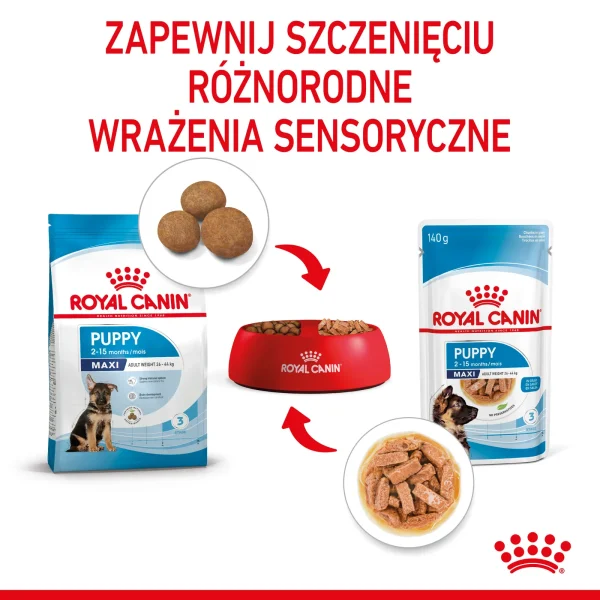 Karma mokra Royal Canin Maxi Puppy dla szczeniąt dużych ras 10x140 g — widok 8
