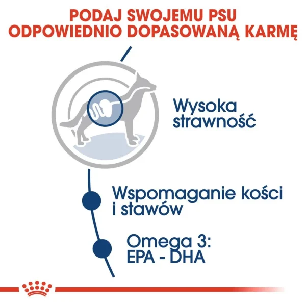 Karma mokra Royal Canin Maxi Adult dla dorosłych psów dużych ras 10x140 g — widok 7