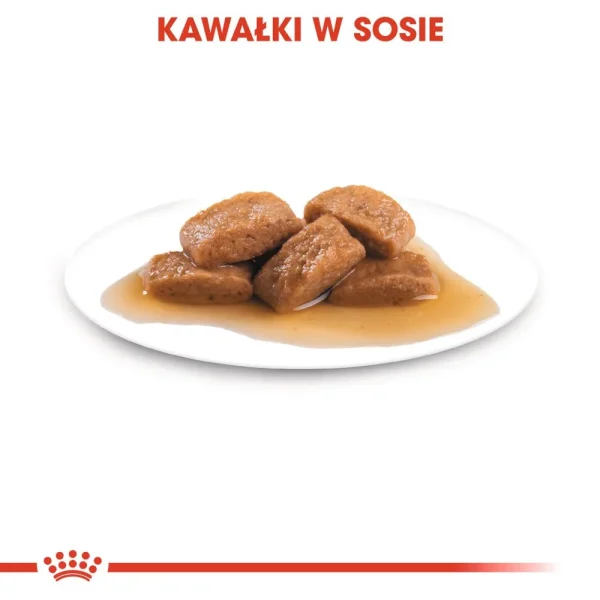 Karma mokra Royal Canin Maxi Adult dla dorosłych psów dużych ras 10x140 g — widok 8