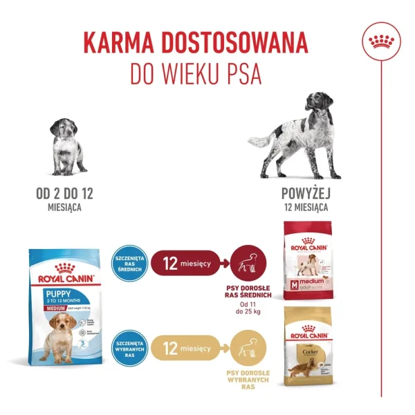 Karma sucha Royal Canin Medium Puppy dla szczeniąt ras średnich 1 kg — widok 9