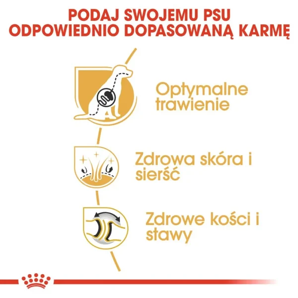 Karma sucha Royal Canin German Shepherd Adult dla owczarka niemieckiego 11 kg — widok 5