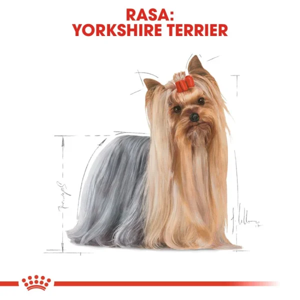 Karma sucha Royal Canin Yorkshire Terrier Adult dla psów rasy yorkshire terrier 3 kg — widok 2