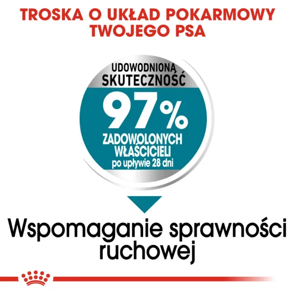 Karma sucha Royal Canin Maxi Joint Care dla dużych psów 10 kg — widok 4