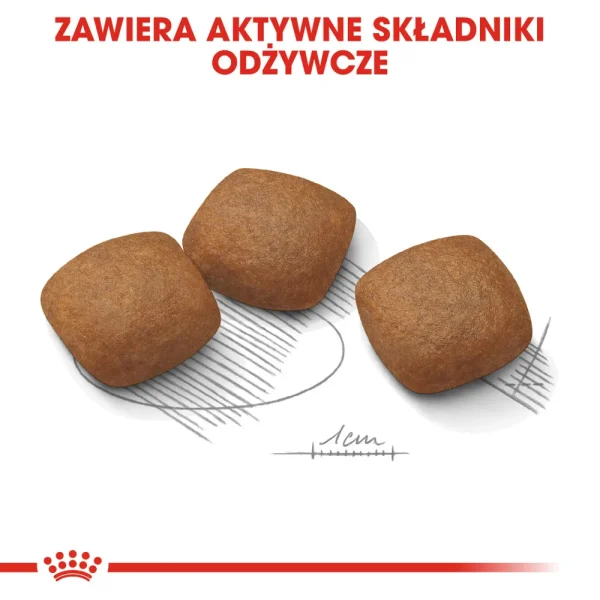 Karma sucha Royal Canin Maxi Joint Care dla dużych psów 10 kg — widok 5