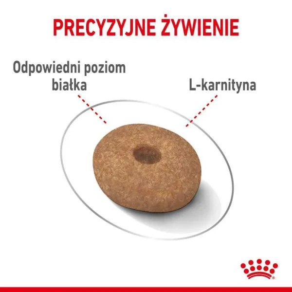 Karma sucha Royal Canin Mini Light Weight Care dla małych ras 8 kg — widok 12