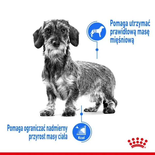 Karma sucha Royal Canin Mini Light Weight Care dla małych ras 8 kg — widok 8