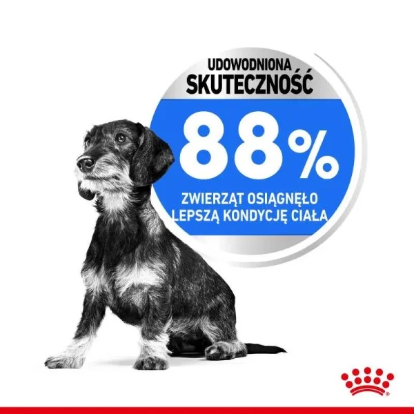 Karma sucha Royal Canin Mini Light Weight Care dla małych ras 8 kg — widok 9