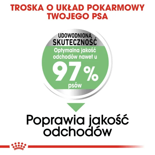 Karma sucha Royal Canin Digestive Care Maxi dla dużych ras 3 kg — widok 4